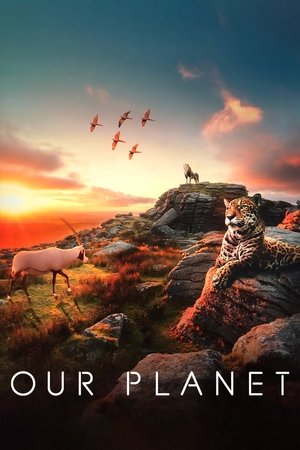 Our Planet – Bolygónk csodái poszter