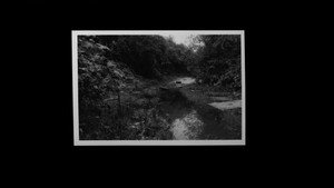 Grantham Overgrown (Infinite Regression) háttérkép