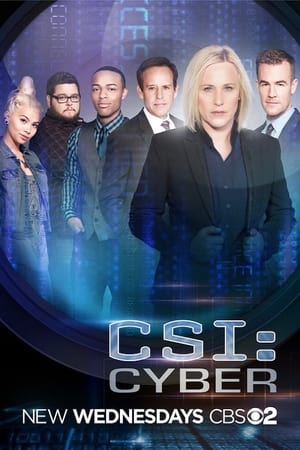 CSI: Cyber helyszínelők poszter