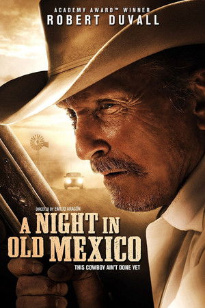 A Night in Old Mexico poszter