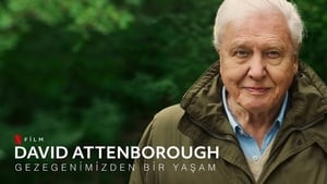 David Attenborough: Egy élet a bolygónkon háttérkép