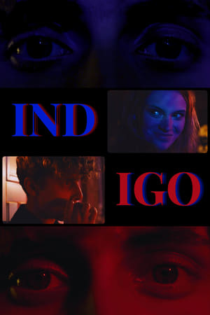 Indigo poszter