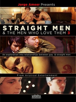 Straight Men & the Men Who Love Them 3 poszter