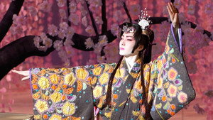 さくら －妖しいまでに美しいおまえ－ / シークレット・ハンター －この世で、俺に盗めぬものはない－ háttérkép