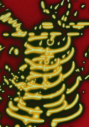 Trouble in the Image poszter