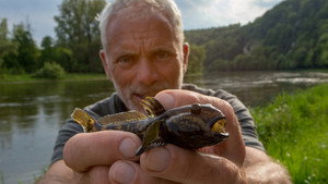 Jeremy Wade's Mighty Rivers 1. évad Ep.4 4. epizód