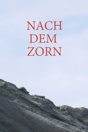 Nach dem Zorn poszter