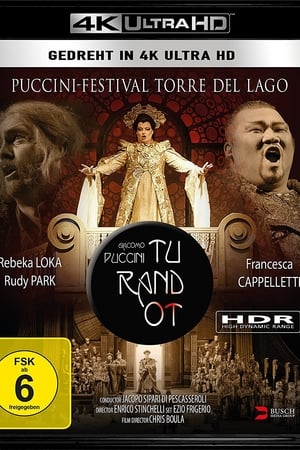 Puccini Festival, Torre del Lago - Turandot poszter