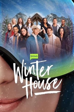 Winter House poszter