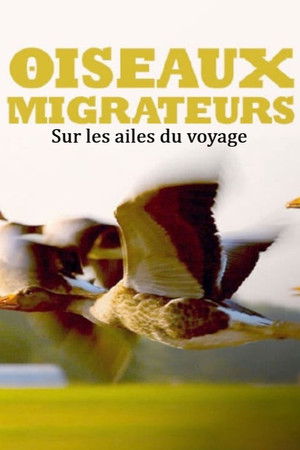 Zugvögel - Ein Jahr vergeht im Flug poszter