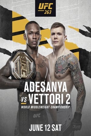 UFC 263: Adesanya vs. Vettori 2 poszter