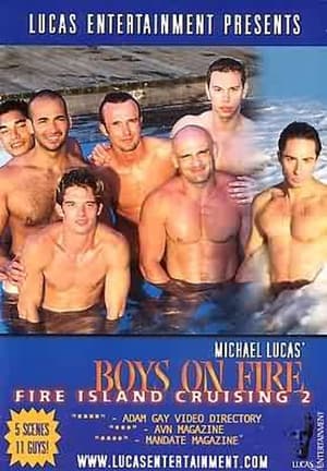 Fire Island Cruising 2: Boys on Fire