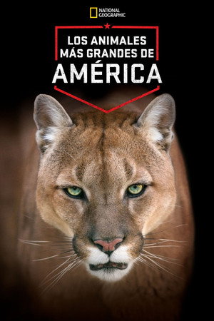 America's Greatest Animals poszter