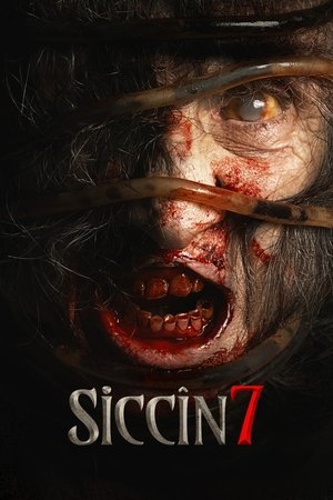 Siccîn 7 poszter