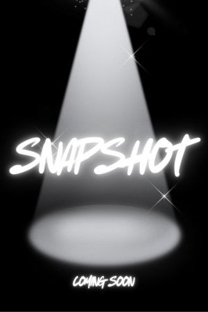 Snapshot poszter