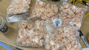 The Shrimp-Off háttérkép