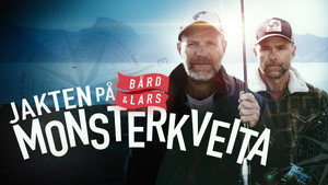 Jakten på monsterkveita kép