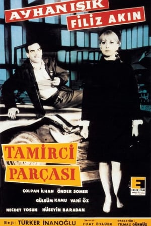 Tamirci parçasi