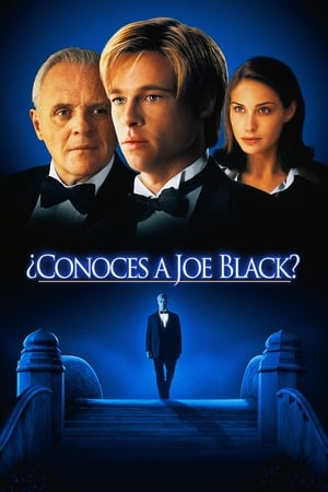 Ha eljön Joe Black poszter