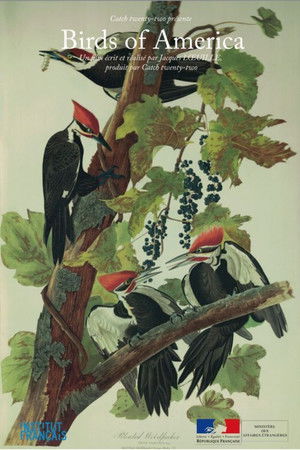 Birds of America poszter