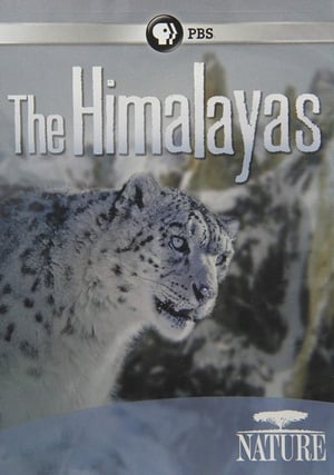 The Himalayas poszter