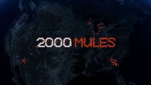 2000 Mules háttérkép