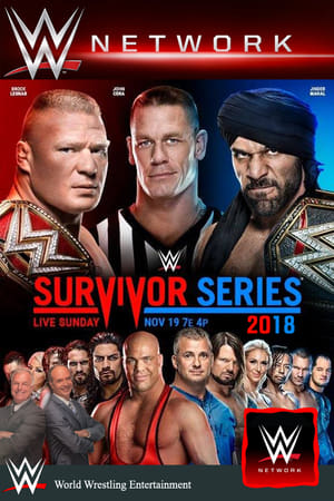 WWE Survivor Series 2018 poszter