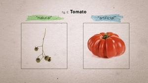 Food Evolution háttérkép