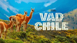 Vad Chile kép