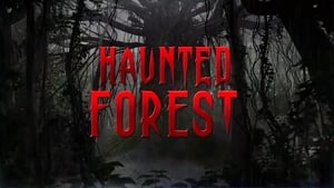 Haunted Forest háttérkép