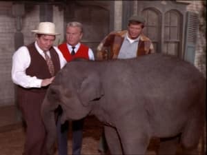 Green Acres Season 6 Ep.2 2. epizód