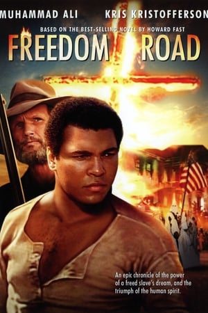 Freedom Road poszter