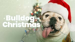 A Bulldog for Christmas háttérkép