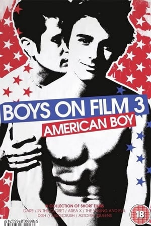 Boys On Film 3: American Boy poszter