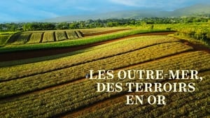 Les Outre-mer, des terroirs en or háttérkép