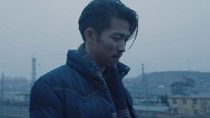大象席地而坐 háttérkép
