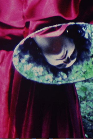 Selva. Un portrait de Parvaneh Navaï poszter
