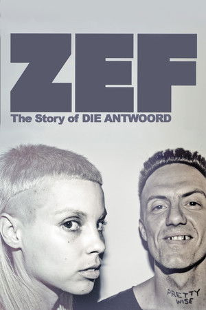ZEF - The Story of Die Antwoord poszter