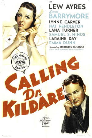 Calling Dr. Kildare poszter