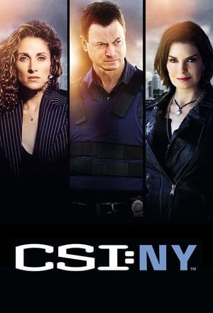 CSI: New York-i helyszínelők poszter