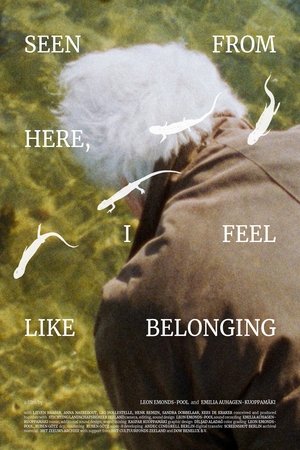 Seen From Here, I Feel Like Belonging poszter