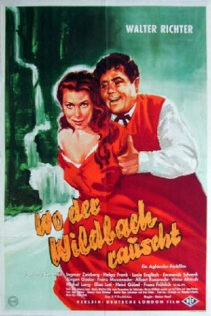 Wo der Wildbach rauscht poszter