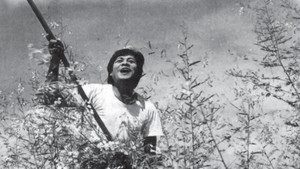 Cánh đồng hoang háttérkép