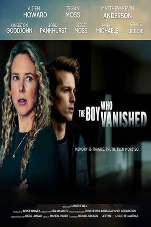 The Boy Who Vanished poszter