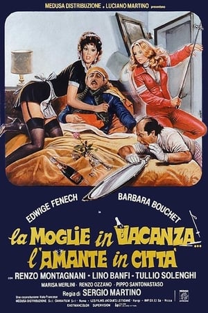 La moglie in vacanza... l'amante in città poszter