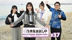 乃木坂お試し中 4. évad Ep.2 2. epizód