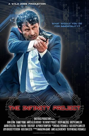 The Infinity Project poszter