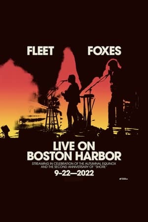 Fleet Foxes Live on Boston Harbor poszter