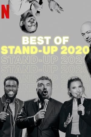 A stand-up legjava 2020 poszter