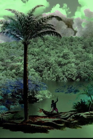 A conquista da floresta poszter